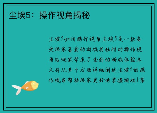 尘埃5：操作视角揭秘